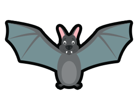 Bat Removal Services by Pest Patrol in Johnston, RL
