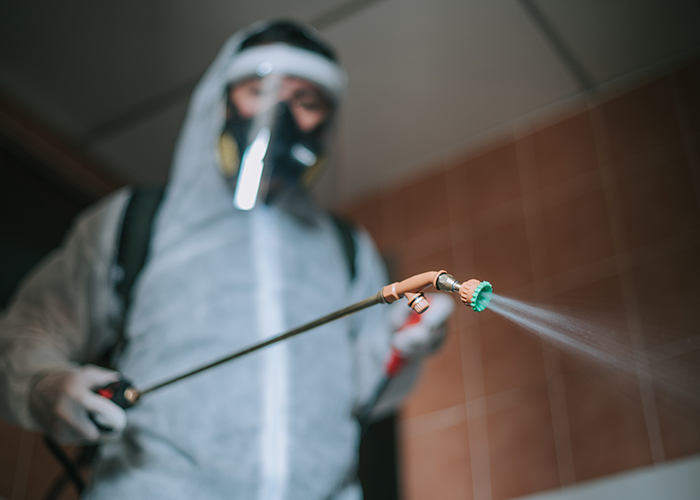 Complete Pest Control Service in Johnston, RI