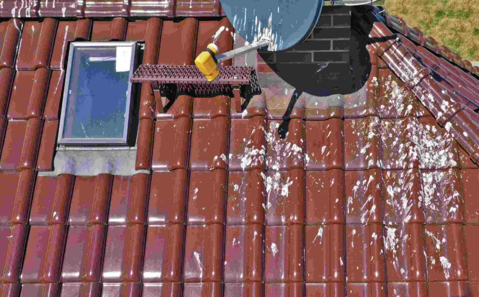 Pest Control Service in whole state of Rhode Island