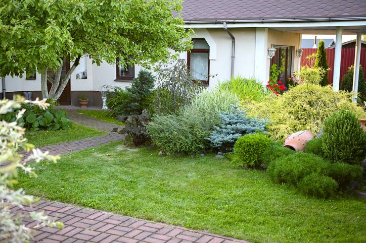 Outdoor Pest Control in Rhode Island