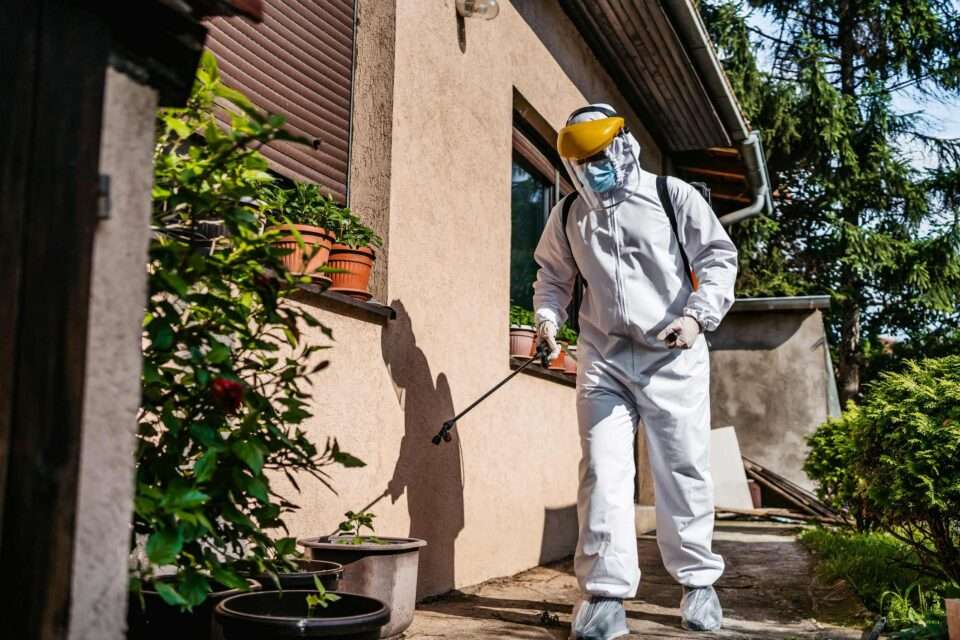 A professional pest control technician is inspecting a property in Johnston, RI.
